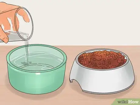 Imagen titulada Care for a Pet Fox Step 10