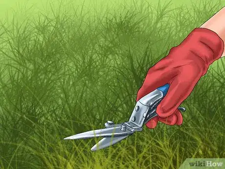 Imagen titulada Deal With a Snake in the House Step 14