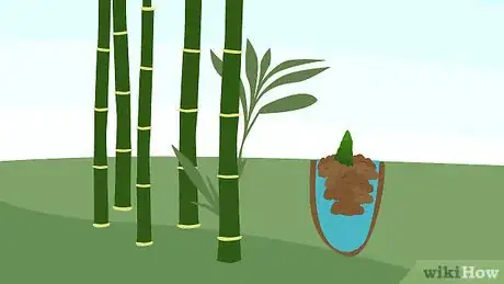 Imagen titulada Prune Bamboo Step 13
