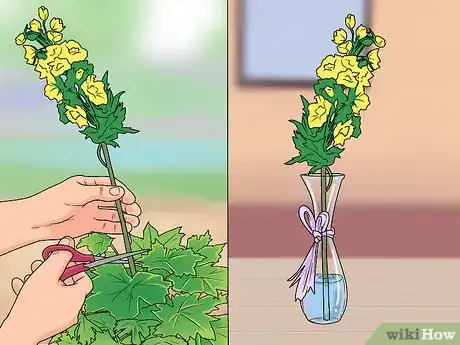 Imagen titulada Grow Delphinium Step 29