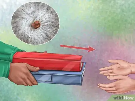 Imagen titulada Diagnose Skin Masses on Dogs Step 9