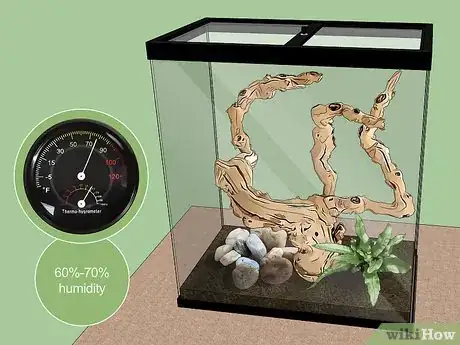 Imagen titulada Care for Green Anole Lizards Step 6