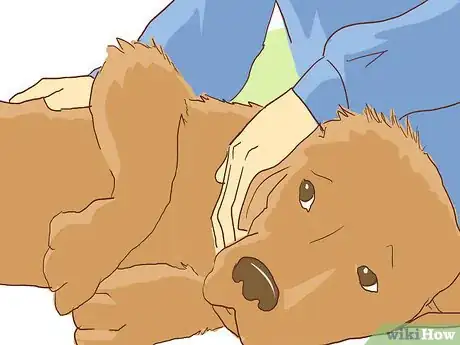 Imagen titulada Wrap a Dog’s Shoulder Step 11