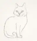 dibujar un gato