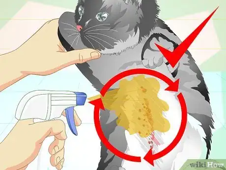 Imagen titulada Make an Herbal Flea Remedy for Cats Step 29