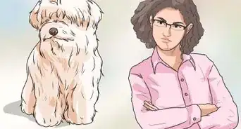 entrenar a un Shih Tzu para que vaya al baño
