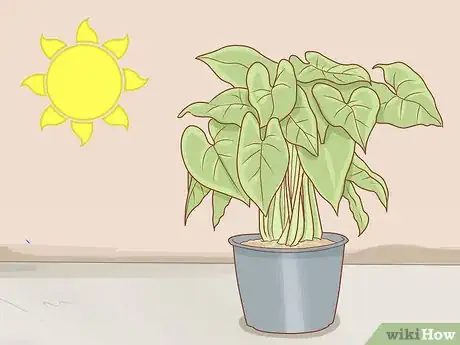 Imagen titulada Get Rid of Powdery Mildew on Plants Step 14