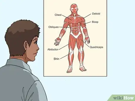 Imagen titulada Study Muscle Anatomy Step 7