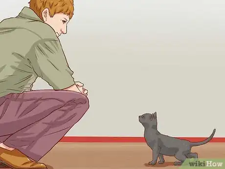 Imagen titulada Discipline Cats Step 4