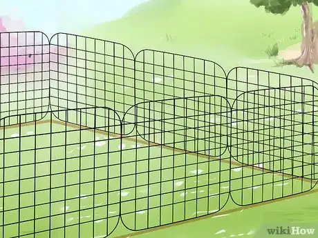 Imagen titulada Walk a Rabbit Step 9