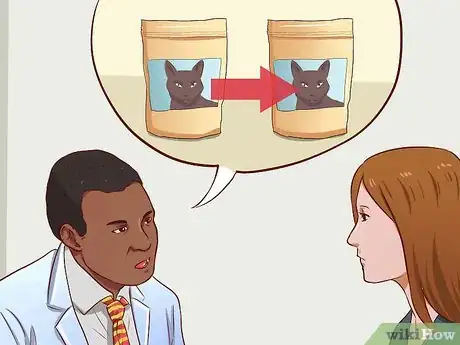 Imagen titulada Cure a Cat of Constipation Step 4