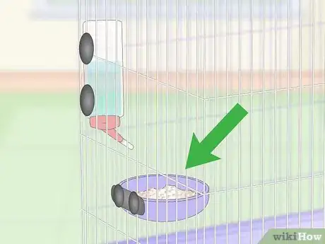 Imagen titulada House a Parakeet Step 8
