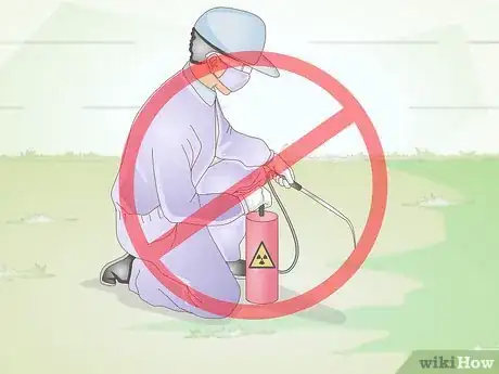 Imagen titulada Exercise Your Guinea Pig Step 12