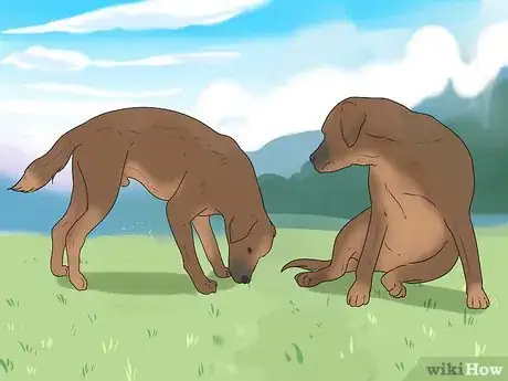 Imagen titulada Tell if a Dog Is in Pain Step 8