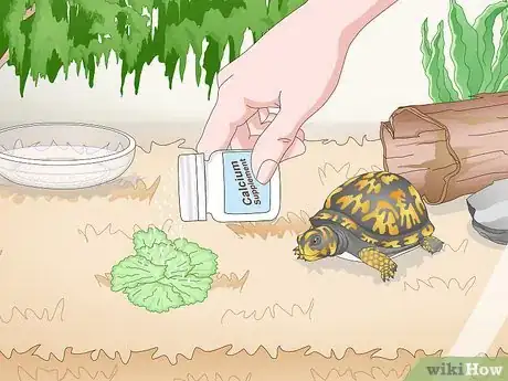 Imagen titulada Care for an Eastern Box Turtle Step 14