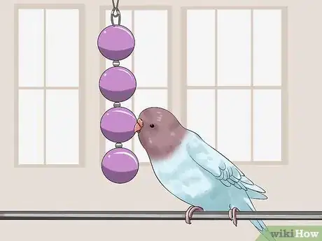 Imagen titulada Trim a Bird's Beak Step 8