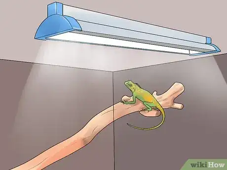 Imagen titulada Build a Reptile Cage Step 10