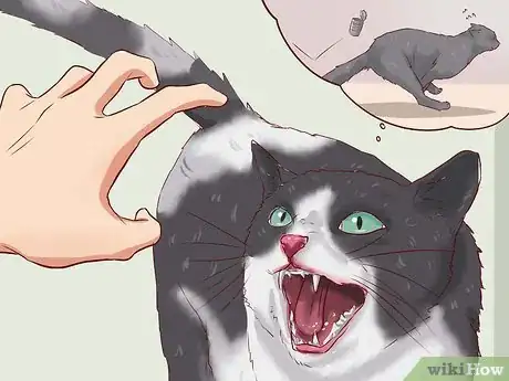 Imagen titulada Discipline Cats Step 6