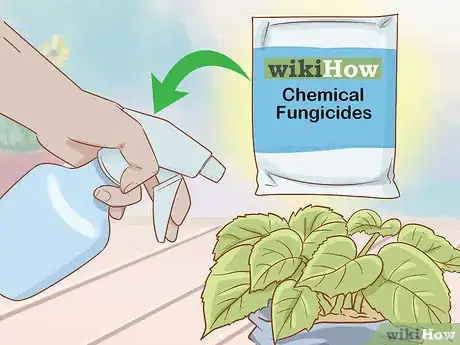 Imagen titulada Get Rid of Powdery Mildew on Plants Step 11