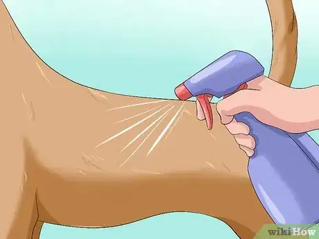 Imagen titulada Remove Skunk Odor from Dogs Step 4