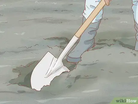Imagen titulada Dig for Clams Step 9