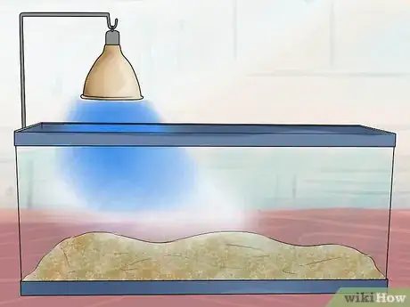 Imagen titulada Buy a Turtle Step 10