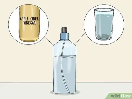 Imagen titulada Eliminate Fleas from Your Home for Free Step 11