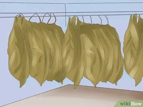 Imagen titulada Grow Tobacco Step 16