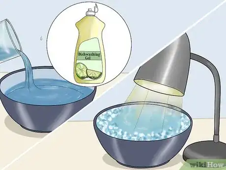 Imagen titulada Eliminate Fleas from Your Home for Free Step 7
