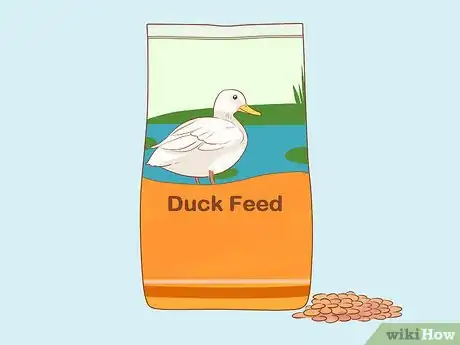 Imagen titulada Care for Ducks in the Winter Time Step 5