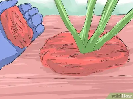 Imagen titulada Save a Dying Rose Bush Step 12