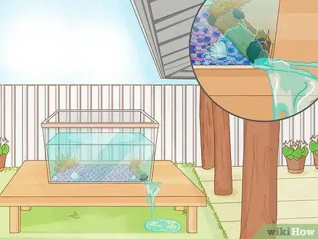Imagen titulada Care for a Clown Fish Step 3