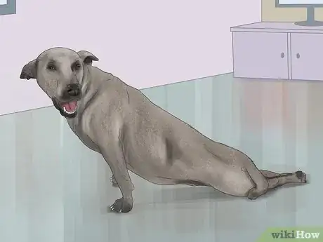 Imagen titulada Treat a Dog for Rabies Step 14