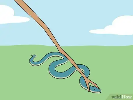 Imagen titulada Catch a Snake Step 3