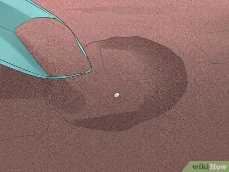 Imagen titulada Grow Cauliflower Step 5