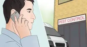 eliminar las pulgas de casa