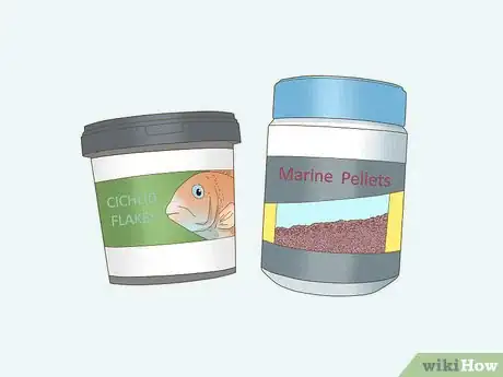 Imagen titulada Care for an Angelfish Step 5