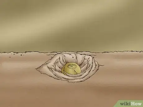 Imagen titulada Propagate Daffodils Step 4