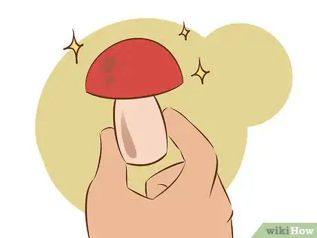 Imagen titulada Grow Edible Mushrooms Step 18