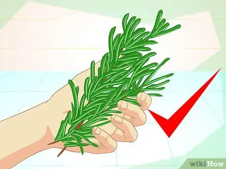 Imagen titulada Make an Herbal Flea Remedy for Cats Step 18