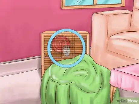 Imagen titulada Create a Bond With Your Hamster Step 3