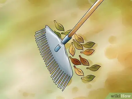 Imagen titulada Get Rid of Spider Mites Step 11