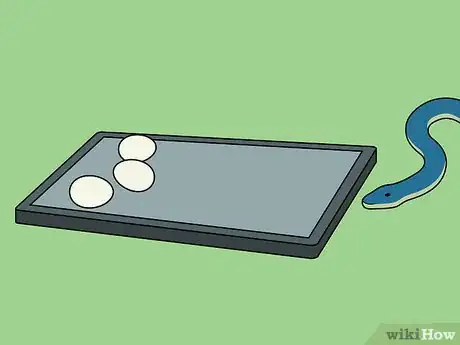 Imagen titulada Catch a Snake Step 5