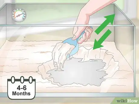 Imagen titulada Maintain Humidity in a Pet Hermit Crab Habitat Step 17