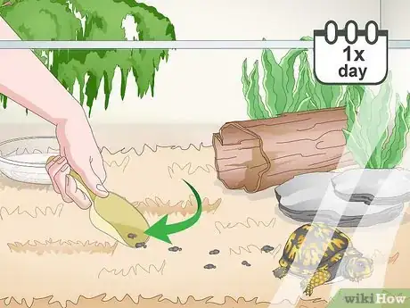 Imagen titulada Care for an Eastern Box Turtle Step 17
