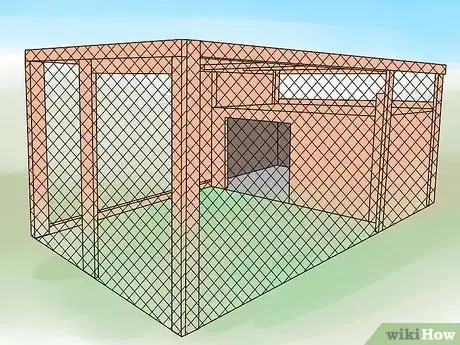 Imagen titulada Care for a Pet Duck Step 10