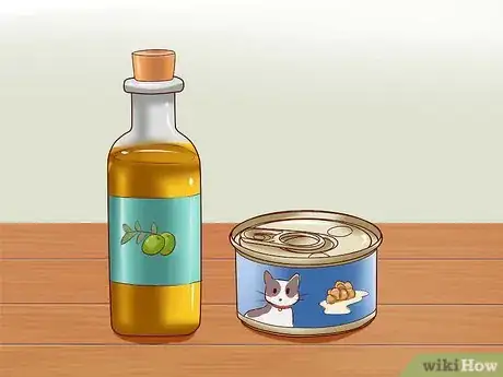 Imagen titulada Cure a Cat of Constipation Step 5