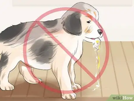 Imagen titulada Get Rid of Tapeworms in a Puppy Step 7