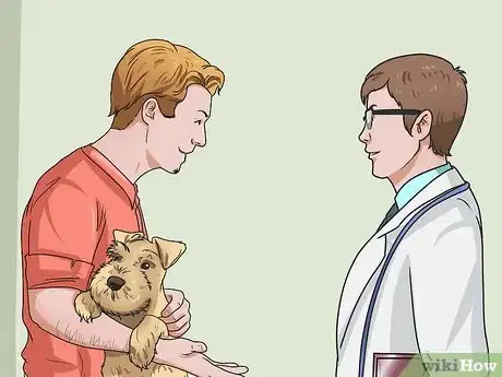 Imagen titulada Calculate Dog Years Step 8