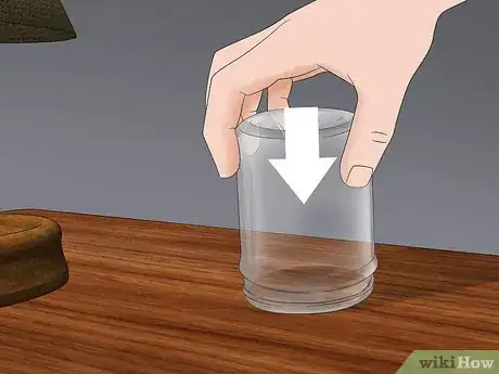Imagen titulada Catch a Mosquito Step 5